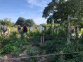 /album/jardins-jumeles-nantes-seattle/img-0946-1-jpg/